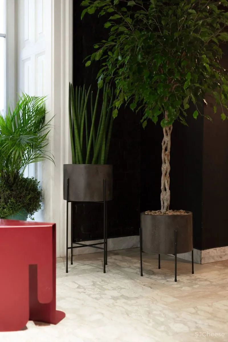 IRA LYSIUK 90㎡咖啡厅设计,现代与历史的交织