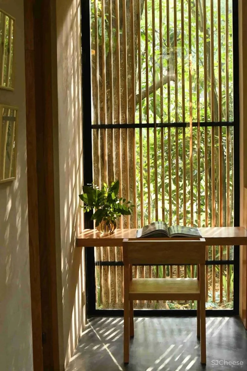 Mauricio Ceballos 墨西哥 融入大自然的林间景观别墅