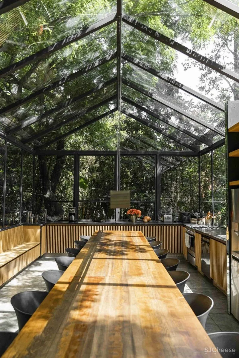 Mauricio Ceballos 墨西哥 融入大自然的林间景观别墅