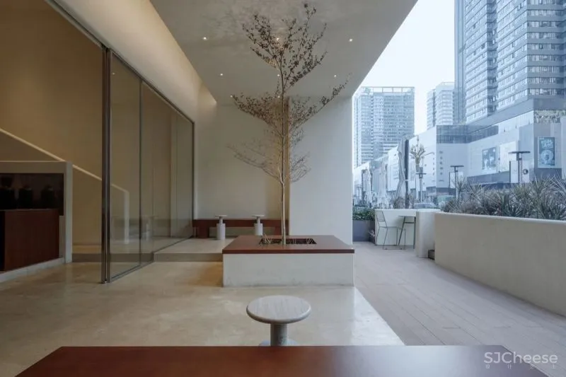 STORY ZOOMCAFE：神性的日常