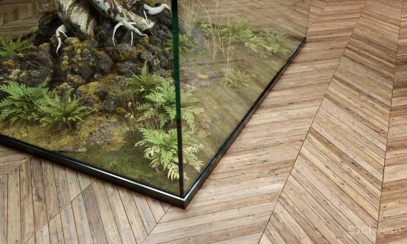 自然探索绿意弥漫的空间