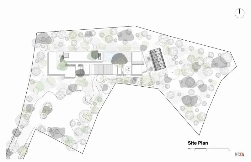 Mauricio Ceballos 墨西哥 融入大自然的林间景观别墅