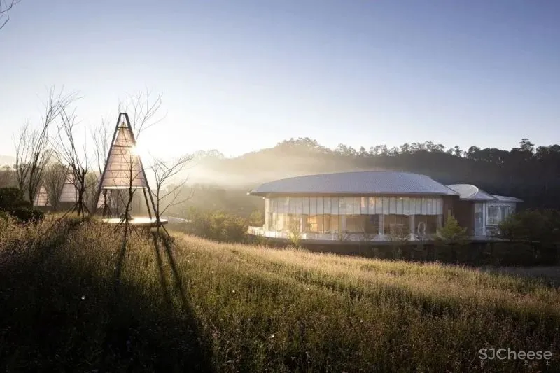 象限重构，自然生长 默存设计