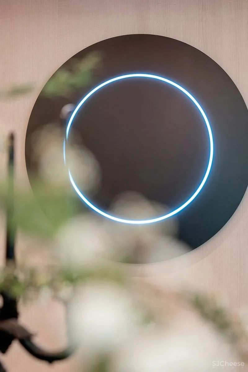 AN AURA 深圳中心 · 天元 314 m² 前卫艺术豪宅,头号玩家!