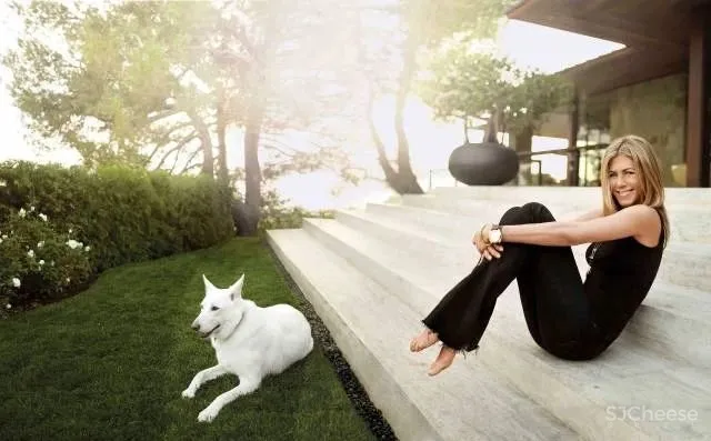 Stephen Shadley-好莱坞明星御用设计师！