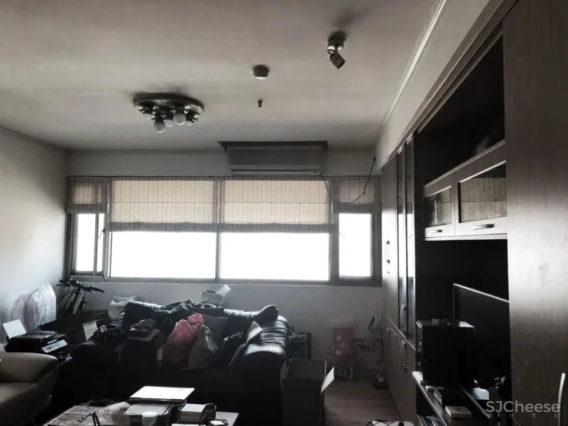 她买下低层高90㎡老房,74w造出极致纯净白色家,独自和收养的狗狗同住!