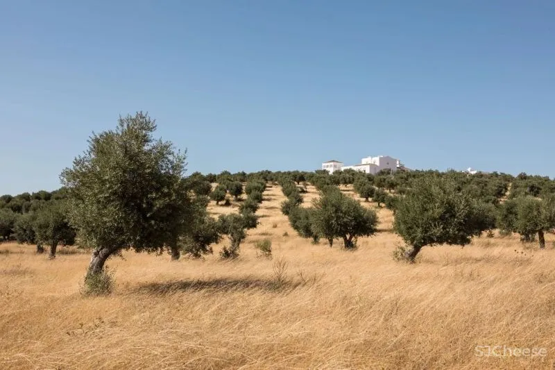 爱马仕主管开的民宿, 极简主义才有的高级