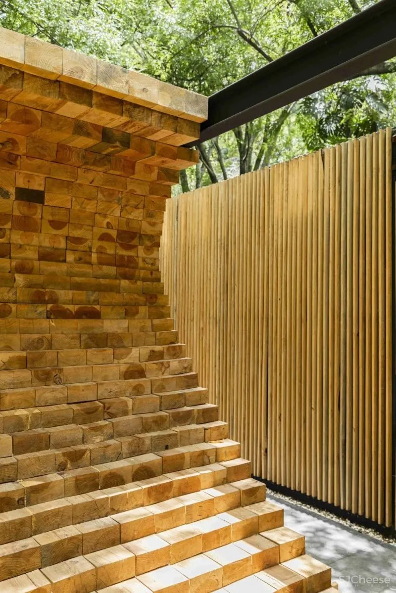 Mauricio Ceballos 墨西哥 融入大自然的林间景观别墅