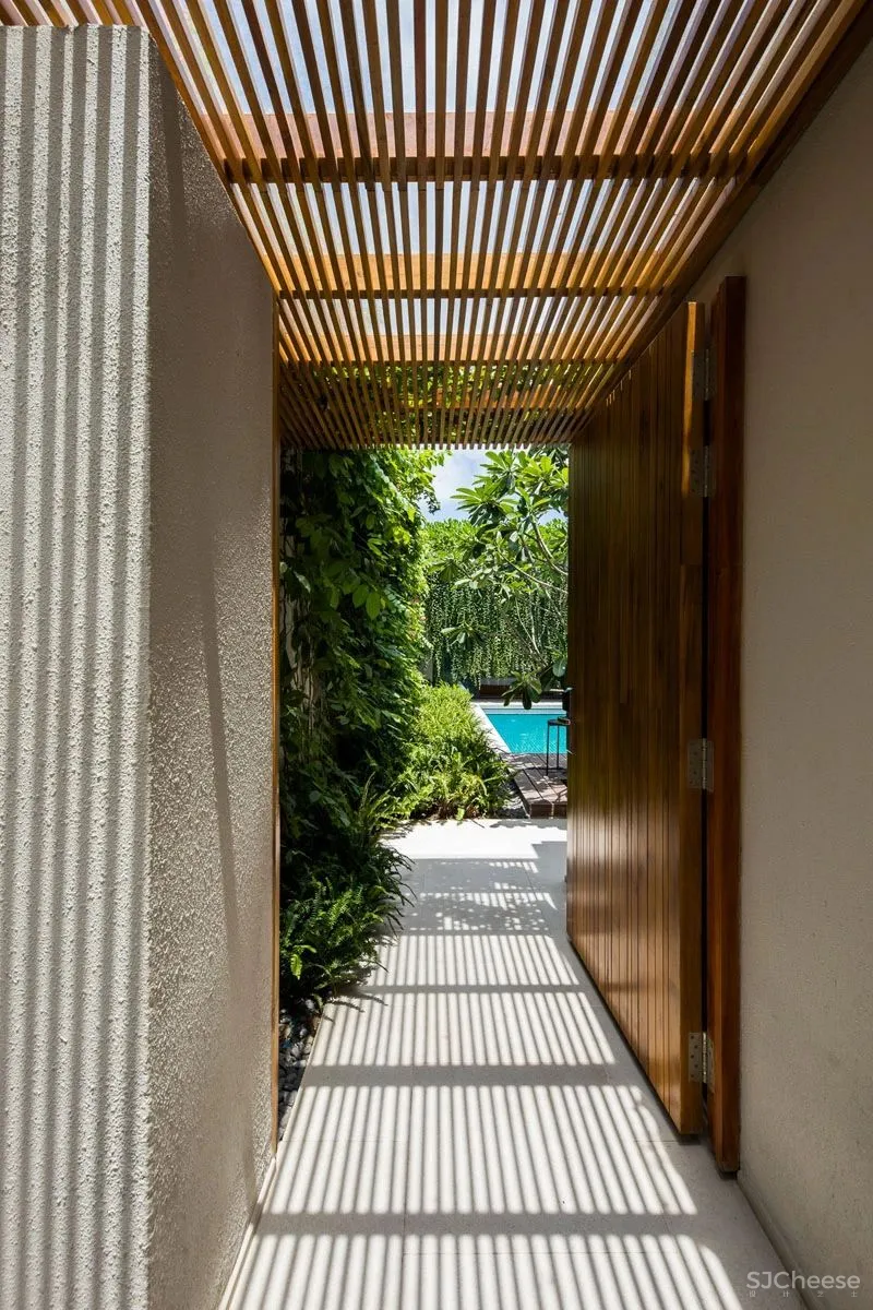 自然探索绿意弥漫的空间