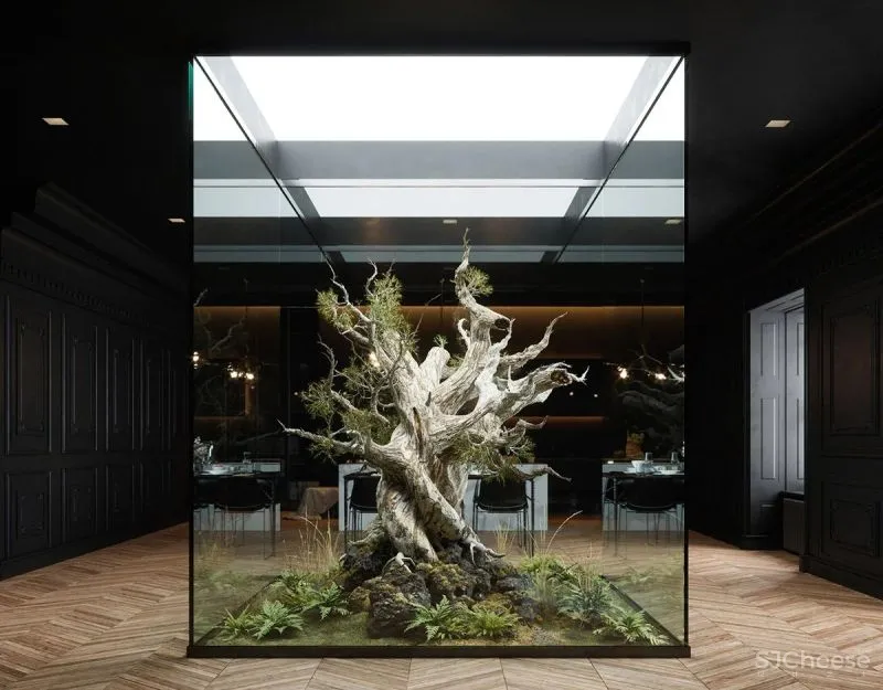 自然探索绿意弥漫的空间