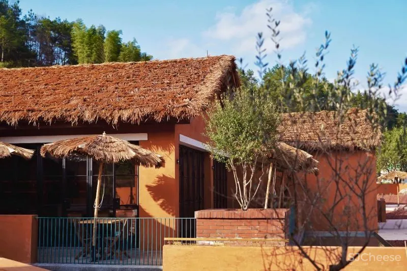 独家首发!江浙沪超野奢摩洛哥风情民宿,面朝湖泊坐拥田园,开业就吸引爆火综艺来录制!