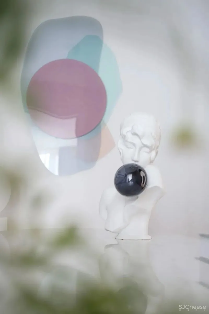 拾光·艺影 向生空间 向淑捷