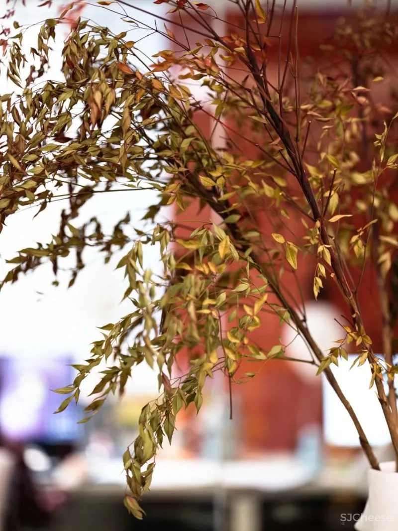 设计公司自己的办公室——为舒适办公而升级