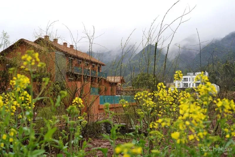 独家首发!江浙沪超野奢摩洛哥风情民宿,面朝湖泊坐拥田园,开业就吸引爆火综艺来录制!