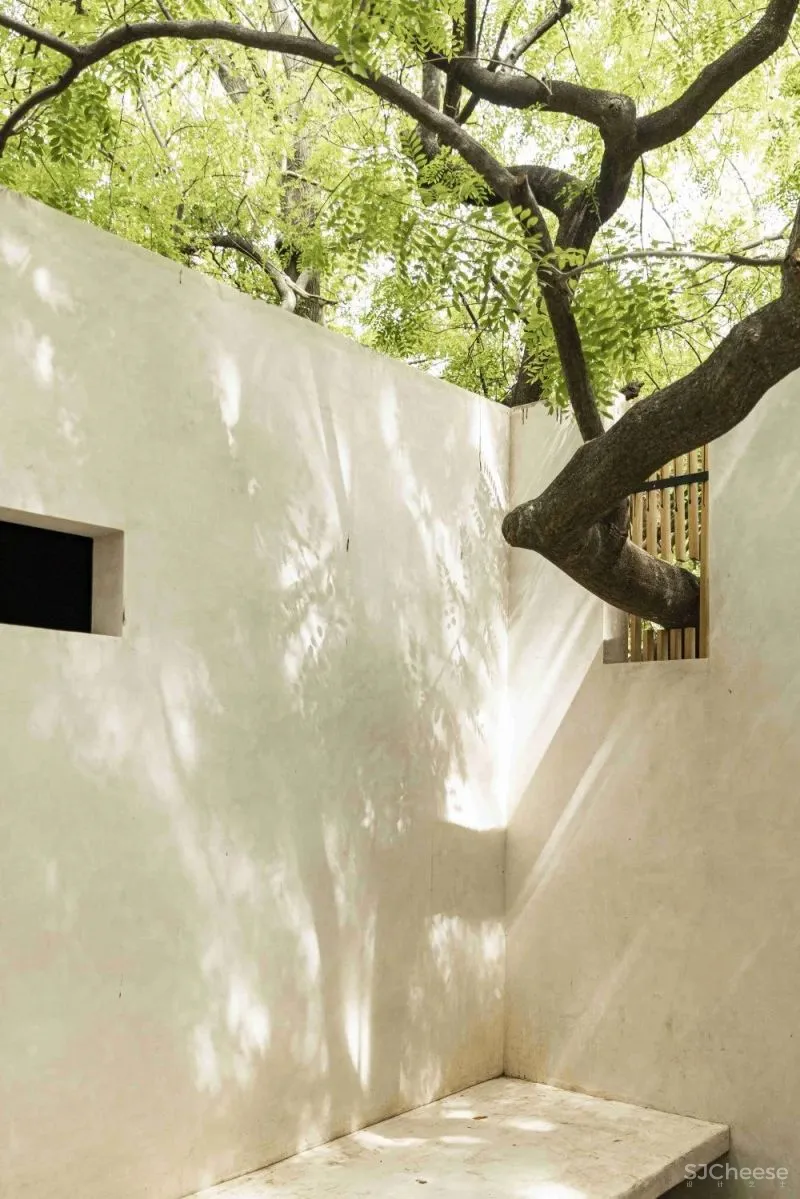 Mauricio Ceballos 墨西哥 融入大自然的林间景观别墅