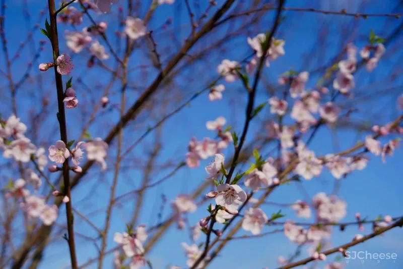 独家首发!江浙沪超野奢摩洛哥风情民宿,面朝湖泊坐拥田园,开业就吸引爆火综艺来录制!
