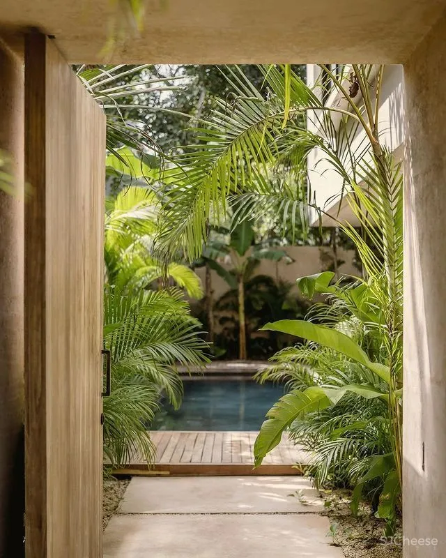 CO LAB 自然系住宅