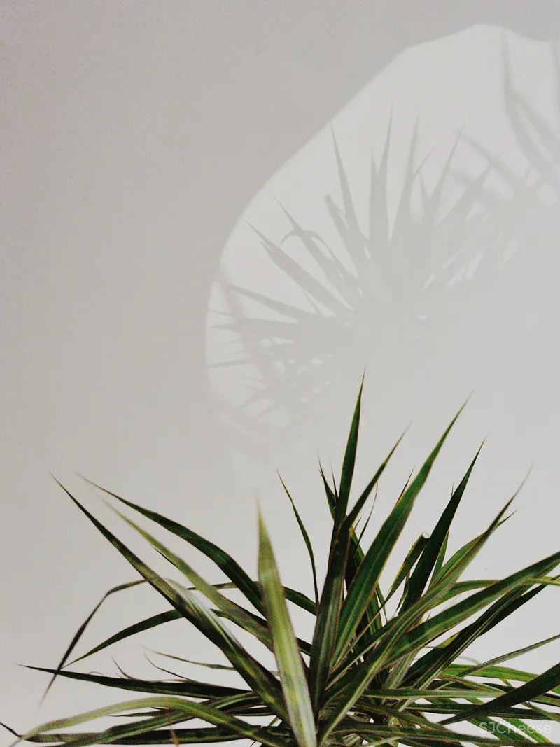 LJ 探店|WS SPACE 無集 |适合约!理想的生活实验场