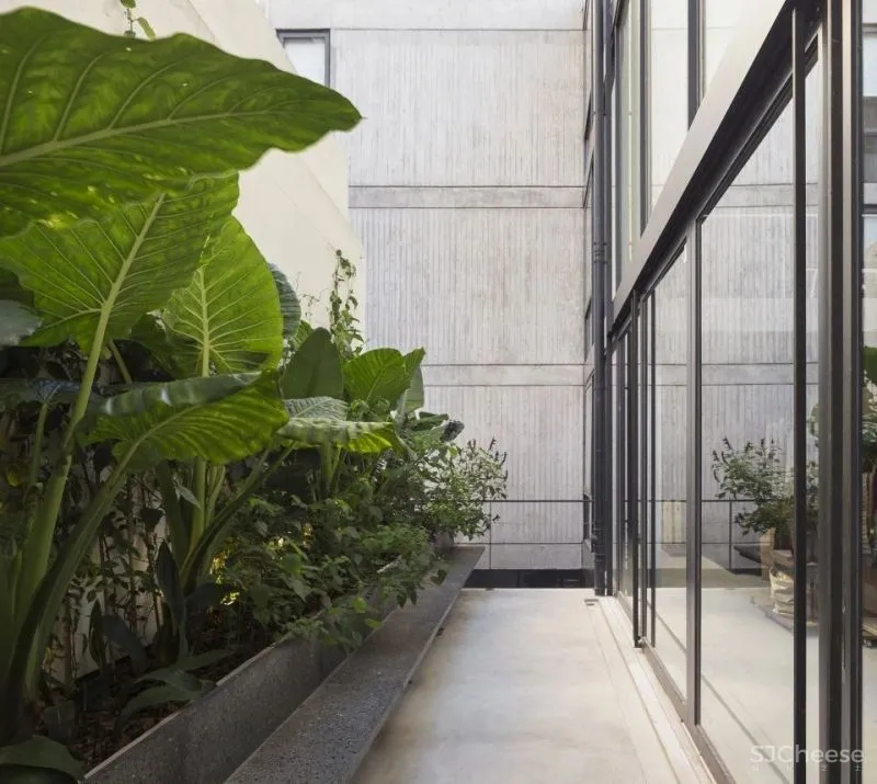 新作 开放式平面优化工作模式 Soler 4733办公室 Ana Sol Smud