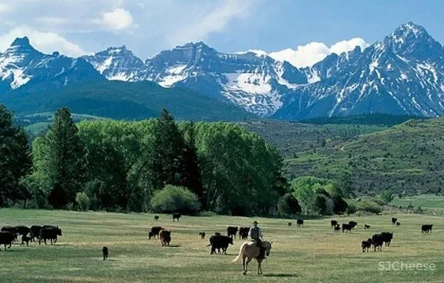 全球十大时尚名人“豪宅”大赏!