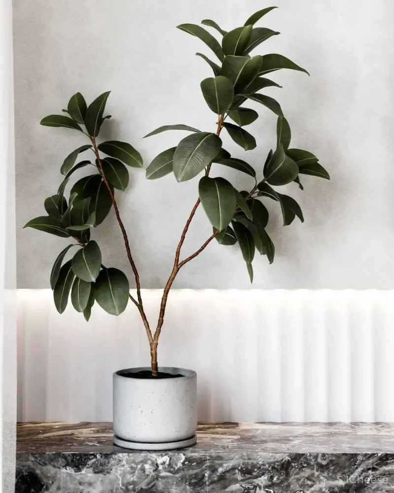 170㎡三口之家，越简单，越精致！