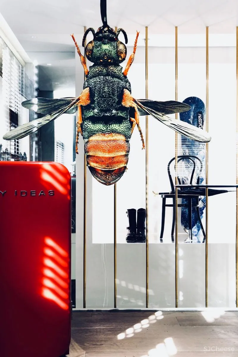 崔树 咖啡厅，不止咖啡