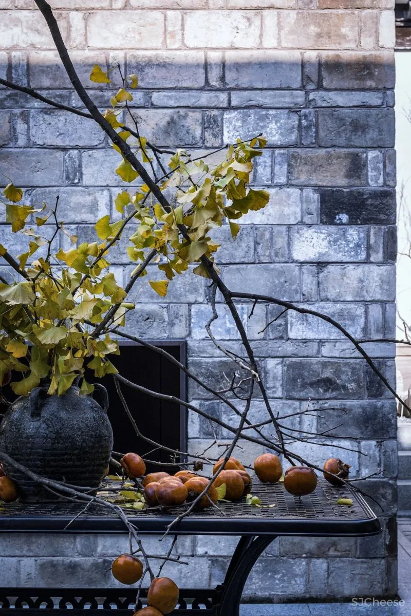 埂上设计丨信阳老宅:立足乡土,焕新一座老宅「星作」