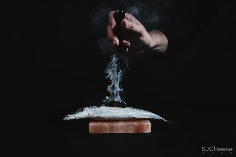 致敬葡萄牙的文学与丰富的复杂性,Torel Palace Hotel