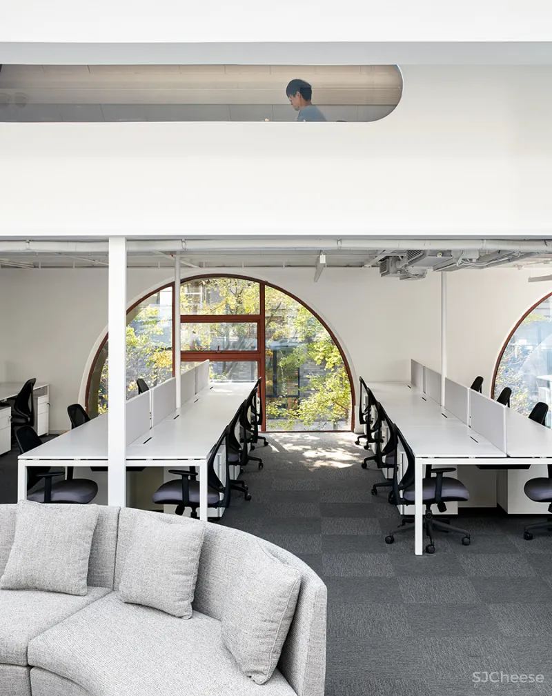 泛域设计 • 朱啸尘|蓝城瑞丽家居