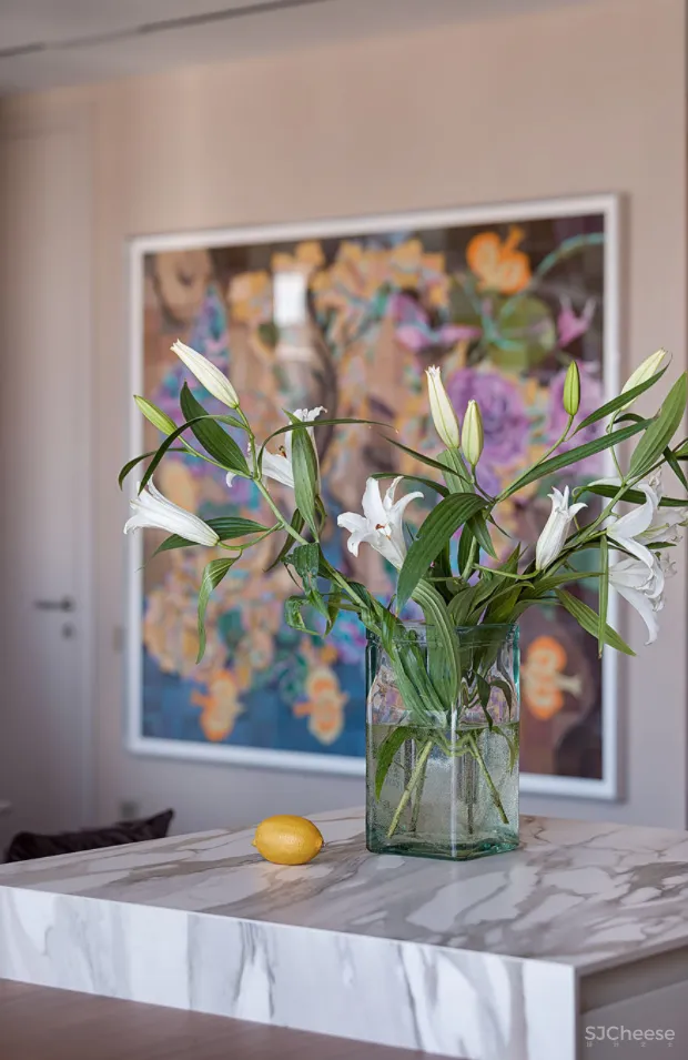 将并不算宽敞的公共区域塞的满满当当,没想到还如此好看!