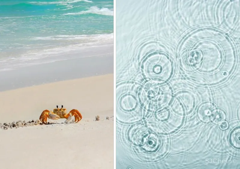 新作 山水诗意、当代艺术,致敬自然之美