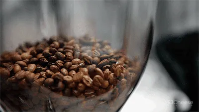 花築光陰|GBD 杜文彪