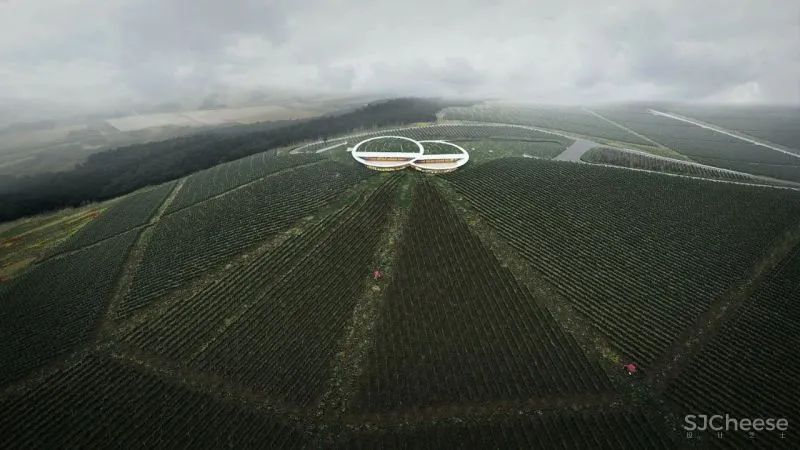 全球顶级鬼才建筑，令人拍案叫绝的世界奇迹！