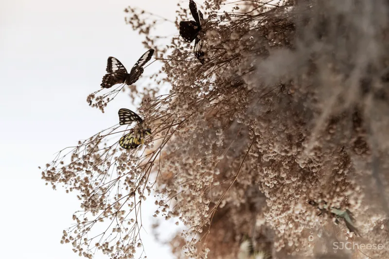 郑州正荣·御首府·天樾 自然艺境 梦幻园游