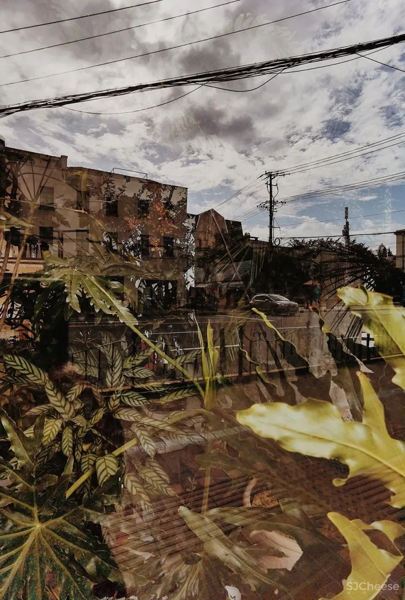 LJ 探店|WS SPACE 無集 |适合约!理想的生活实验场