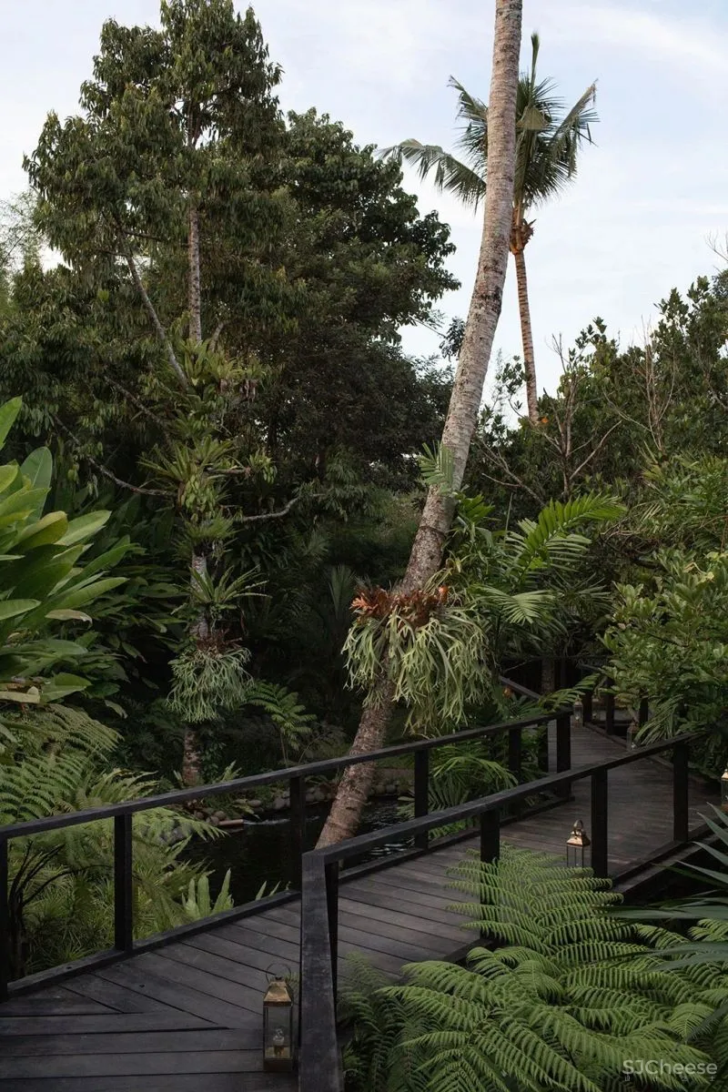 我向往的生活 简朴 平凡 安静