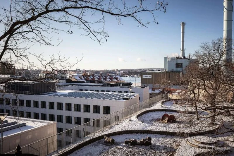 60㎡温柔知性的美,瑞典单身女子公寓