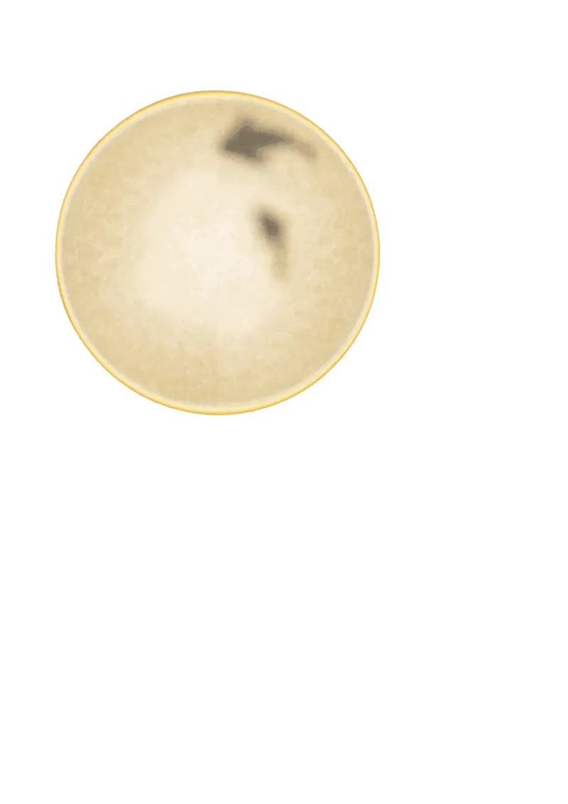 愉悦而至 · 清水湾岸 柏舍设计