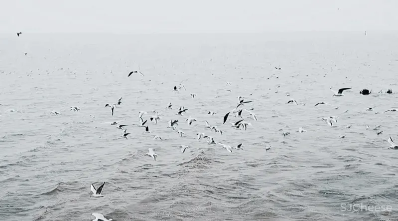 400㎡极简白咖啡馆,重塑建筑几何之美 一野设计