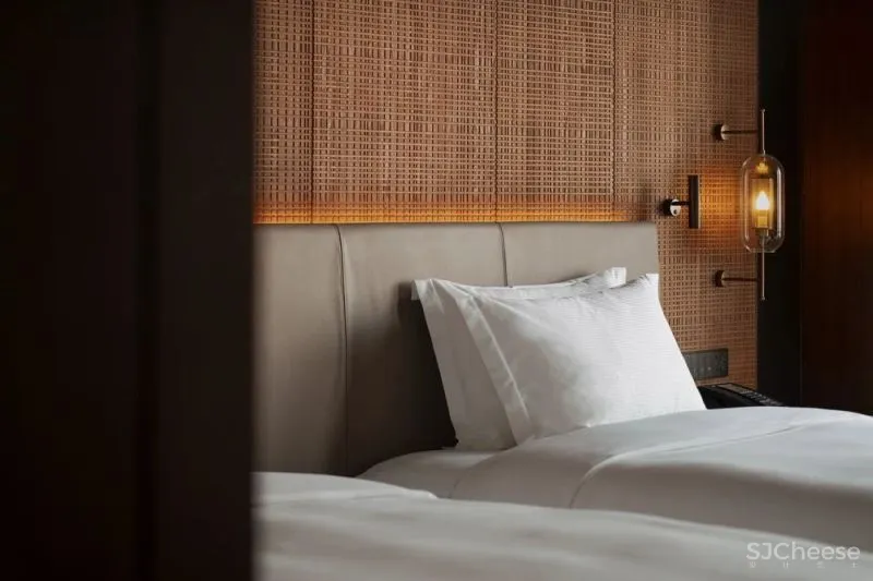 重庆高科希尔顿酒店 YANG对山水之城的另类解读