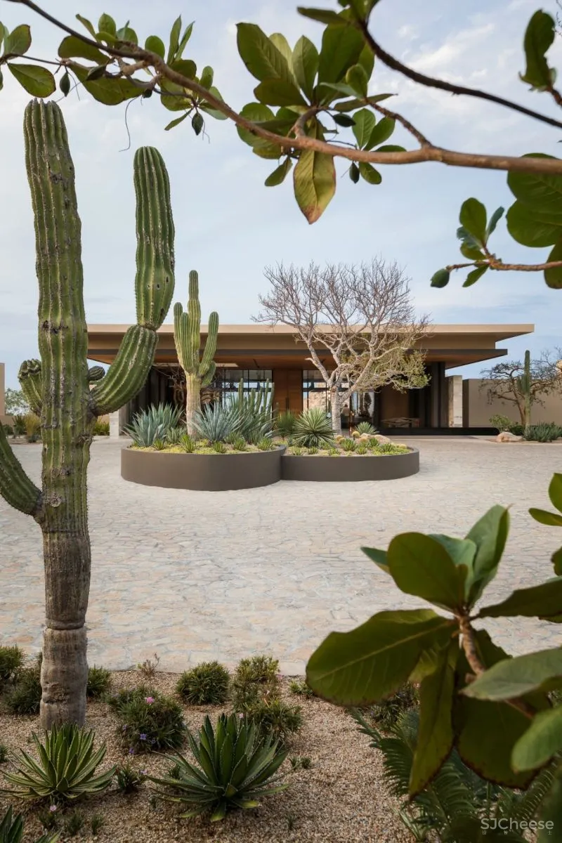 蒙太奇洛斯卡沃斯酒店