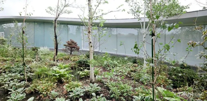 西泽立卫建筑事务所 画家千住博美术馆