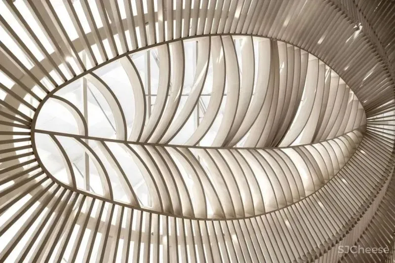 象限重构，自然生长 默存设计