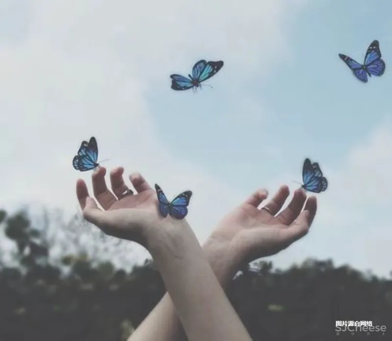 郑州正荣·御首府·天樾 自然艺境 梦幻园游