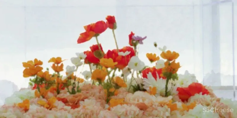 花築光陰|GBD 杜文彪