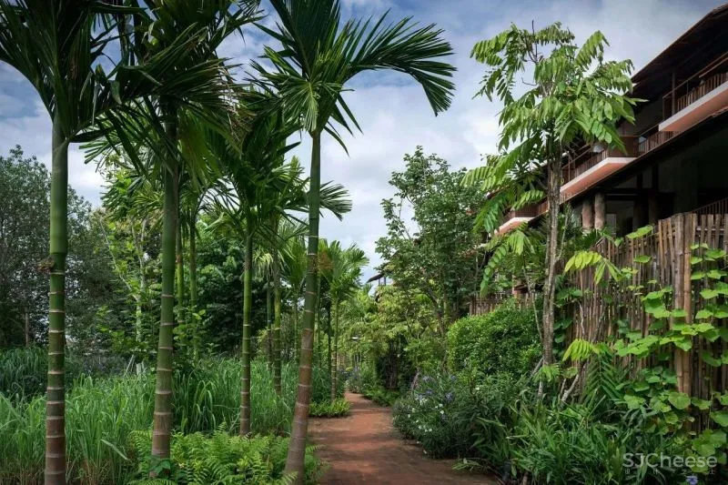 BOONDESIGN-亚洲简约风的积极实践者!