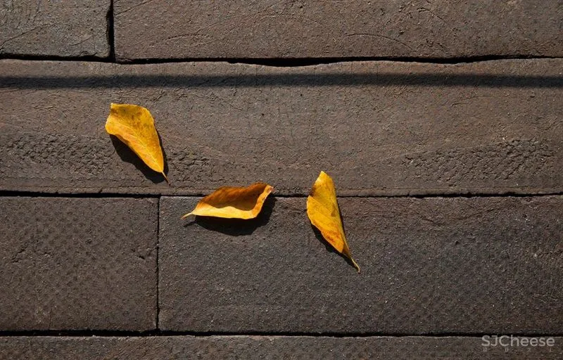 安静的治愈 Norm Architects 15 个顶级设计