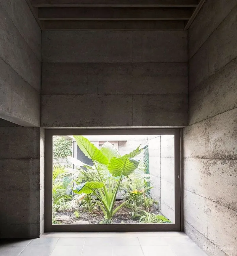 【MORQ】野性十足的原生自然建筑