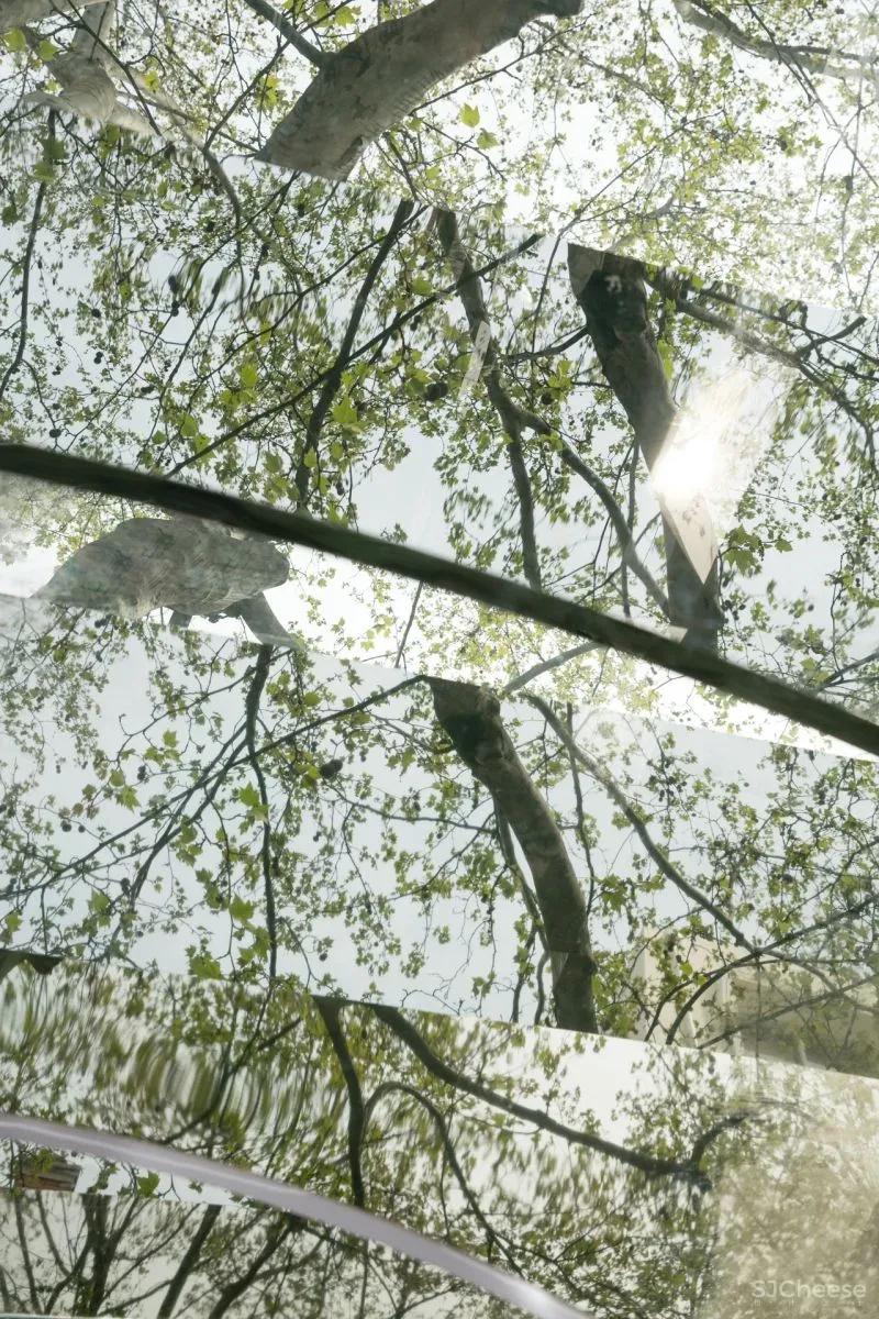 Nax × Cosmetea:构筑沉浸式场景体验