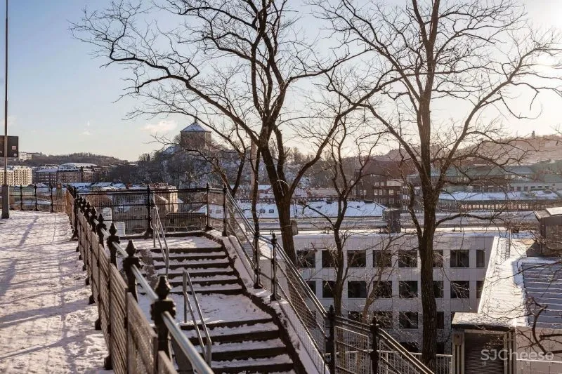 60㎡温柔知性的美,瑞典单身女子公寓